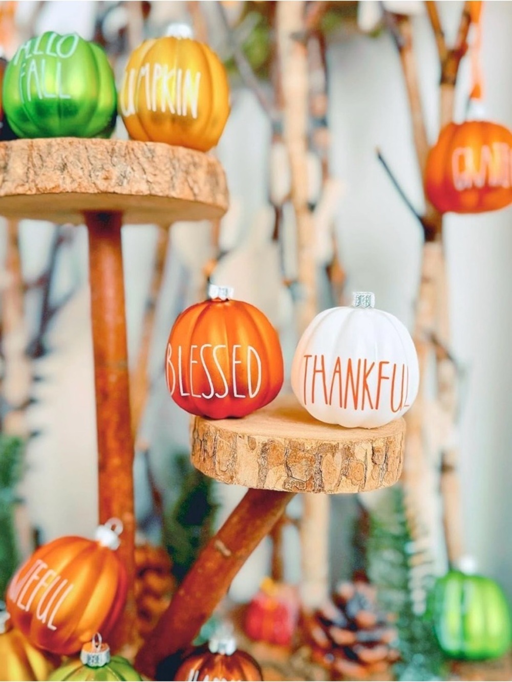 NIB Fall Pumpkin Ornament Set 18pcs Thanksgiving Halloween Tree Decor Rustic - Picture 11 of 15